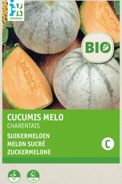 Intratuin Zuckermelone (Cucumis melo 'Charentails') (BIO) Samen