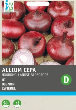 Intratuin Zwiebel (Allium cepa 'Verbesserte Braunschweiger') Samen