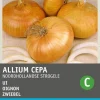 Intratuin Zwiebel (Allium cepa 'Strohgelbe') Samen