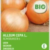 Intratuin Zwiebeln (Allium cepa 'Rijnsburger 5') (BIO) Samen