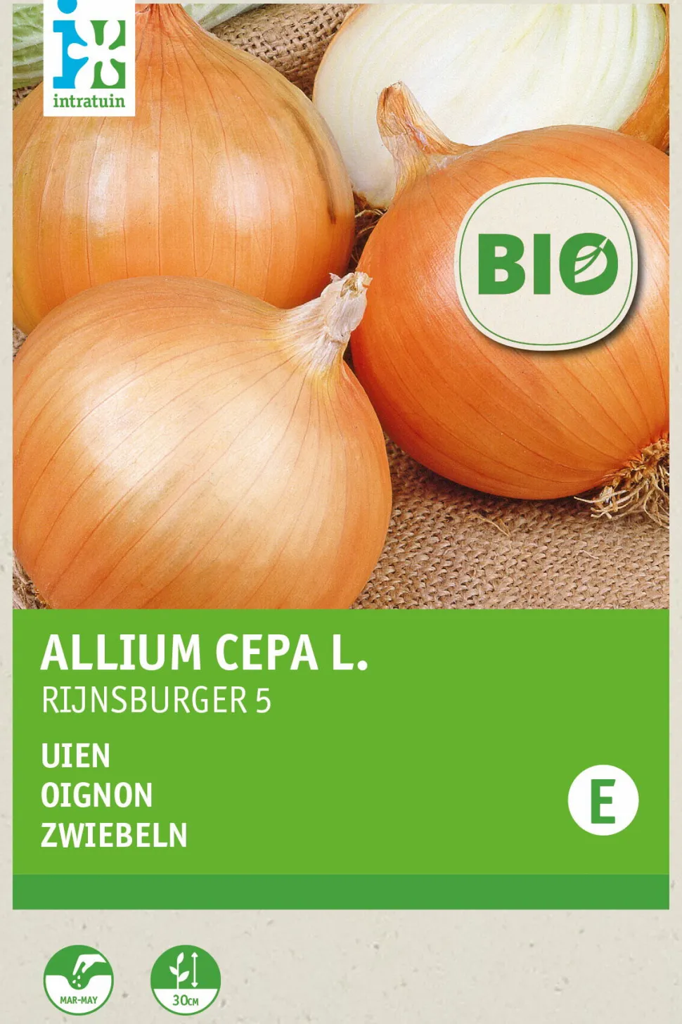 Intratuin Zwiebeln (Allium cepa 'Rijnsburger 5') (BIO) Samen
