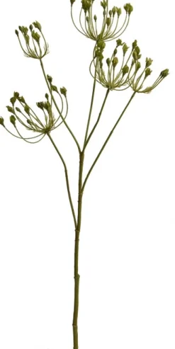 Jasaco Kunstzweig Dill grün 82 cm