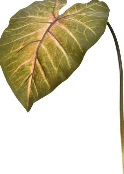 Jasaco Kunstzweig Kaladie dunkelgrün 113 cm