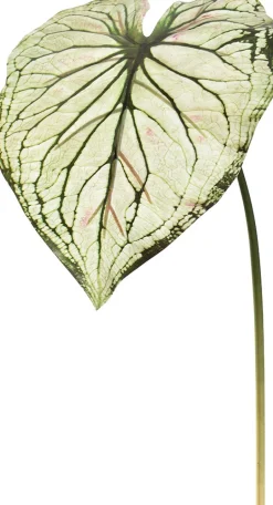 Jasaco Kunstzweig Kaladie hellgrün 113 cm