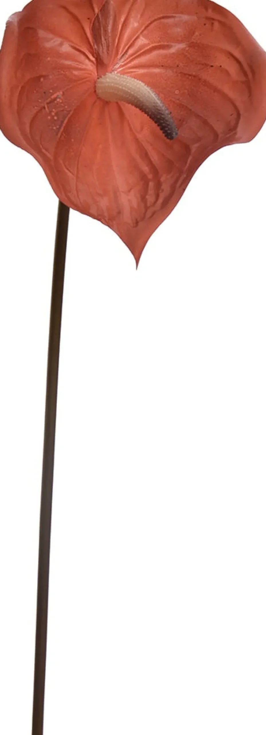 Jasaco Pure Kunstblume Anthurie 67 cm braun