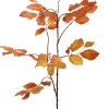 Jasaco Pure Kunstzweig Buche 100 cm orange