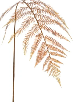 Jasaco Pure Kunstzweig Farn 133 cm gold