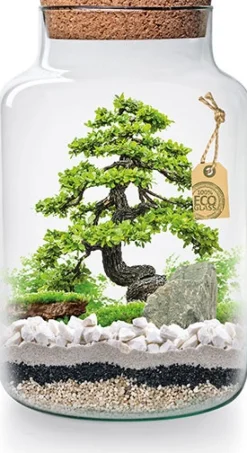 Just add Plants Pflanzenterrarium Glas mit Korken D 19 H 30 cm