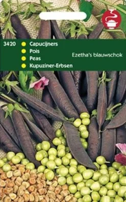 Kapuziner-Erbsen (Pisum sativum 'Ezetha') Samen