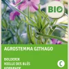 Kornrade (Agrostemma githago) (BIO) Samen