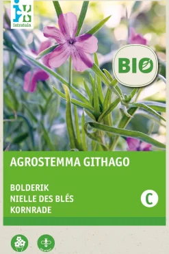 Kornrade (Agrostemma githago) (BIO) Samen