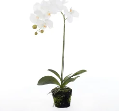 Kunstpflanze Orchidee (Phalaenopsis) im Topf weiß D 30 cm H 60 cm