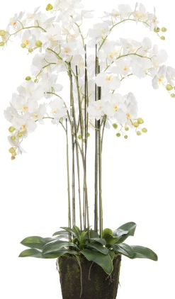 Kunstpflanze Orchidee (Phalaenopsis) in Topf 60 x 70 x 110 cm weiß