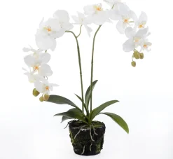 Kunstpflanze Orchidee (Phalaenopsis) in Moos weiß D 33 cm H 67 cm