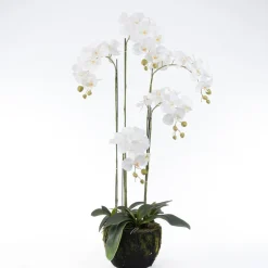 Kunstpflanze Orchidee (Phalaenopsis) im Topf weiß 48 x 42 x 115 cm