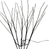 Luca Lighting Gartenstecker Weihnachtszweig schwarz 30 x 30 x 90 cm 5 St.