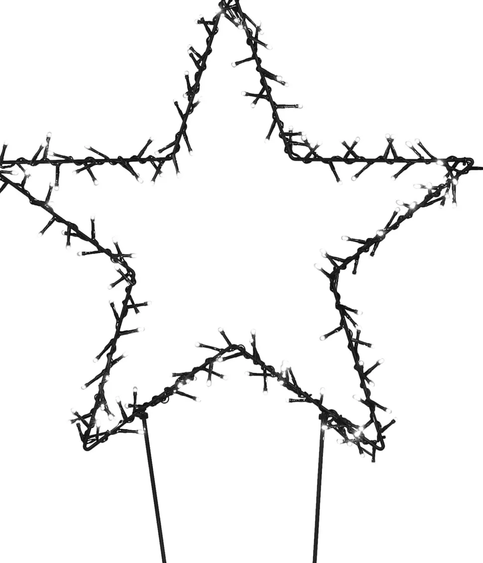 Luca Lighting Gartenstecker Stern beleuchtet 60 x 1 x 73 cm mit 100 LEDs weiß