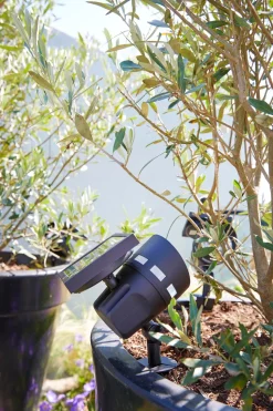 Luxform Lighting Solar-Spot mit Erdspieß 10,4 x 14,5 x 34 cm