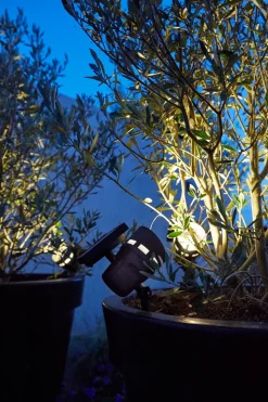 Luxform Lighting Solar-Spot mit Erdspieß 10,4 x 14,5 x 34 cm