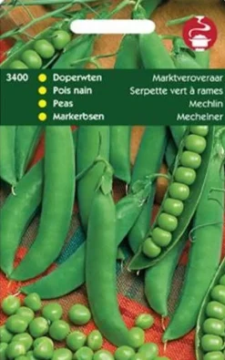 Markerbsen (Pisum sativum 'Mechelner') Samen