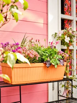 Mega Collections Balkonkasten Floreira terrakotta 40 x 19 x 17 cm