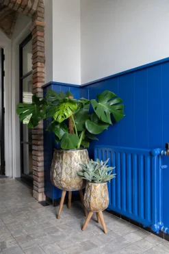 Mega Collections Blumentopf Emir D 35 H 59 cm gold