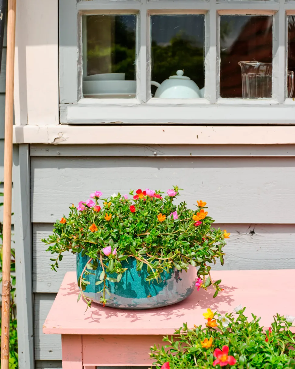 Mega Collections Pflanzschale Celadon Glasur D 21 cm