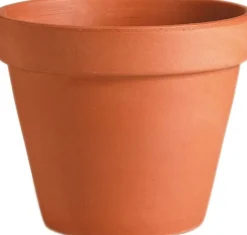 Mega Collections Terracotta Blumentopf D 11 cm H 10 cm