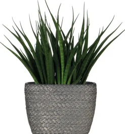 Mica Decorations Blumentopf Alma oval 28 x 15 x 21 cm dunkelgrau