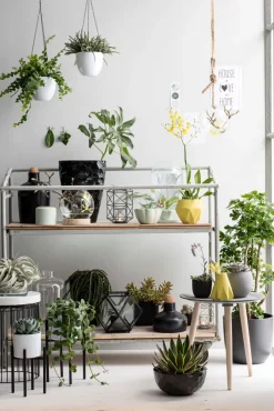 Mica Decorations Blumentopf-Ständer Ascot 24 x 24 x 25 cm schwarz