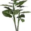Mica Decorations Kunstpflanze Taro D 70 H 100 cm