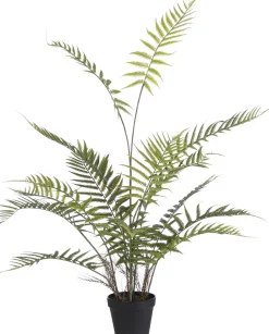 Mica Decorations Kunstpflanze Farn 45 x 45 x 91 cm
