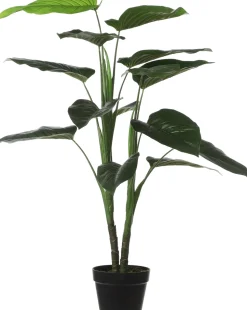 Mica Decorations Kunstpflanze Philodendron D 70 H 100 cm