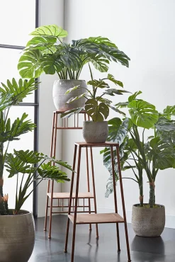 Mica Decorations Kunstpflanze Monstera D 70 H 100 cm