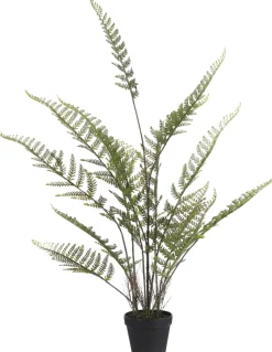 Mica Decorations Kunstpflanze Farn 45 x 45 x 91 cm