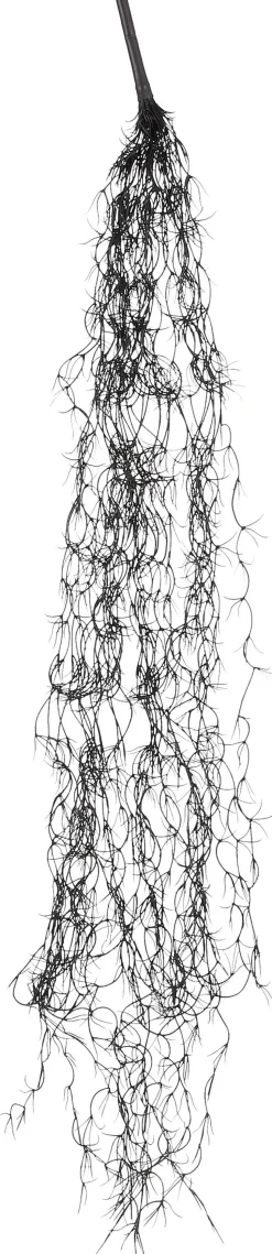 Mica Decorations Kunstpflanze Tillandsia 115 x 11 x 5 cm zwart