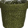 Mica Decorations Pflanzkorb Raja grün D 17 H 17 cm