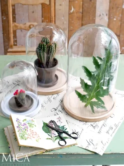 Mica Decorations Teller für Glasglocke Hella Holz hell D 26 cm H 2 cm