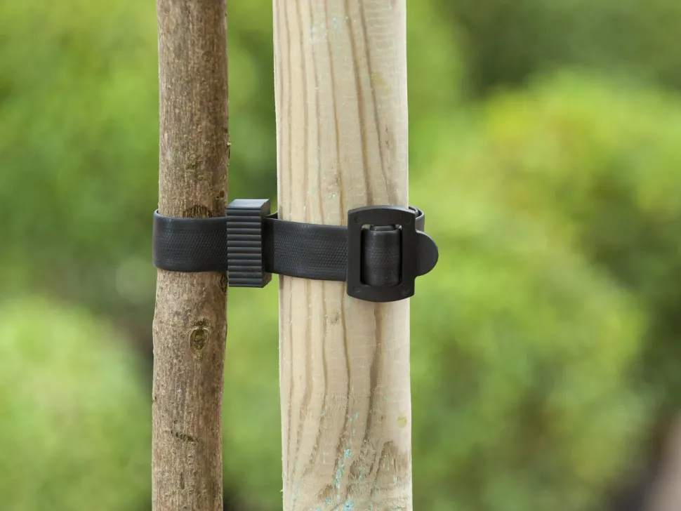 Nature Baumband mit Schnalle 45 x 2,5 cm