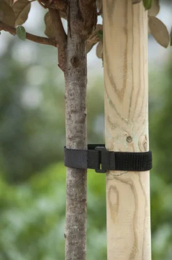 Nature Baumbinder mit Klettverschluss und Schnalle 40 x 2,5 cm 2 St.