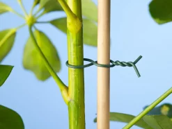 Nature Bindedraht kunststoffummantelt D 0,8 mm x 50 m grün