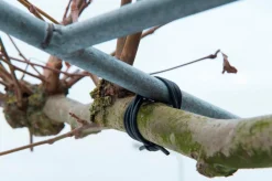 Nature Gartenschnur D 3 mm, 50 m schwarz