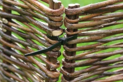 Nature Kabelbinder 20 cm schwarz 25 St.