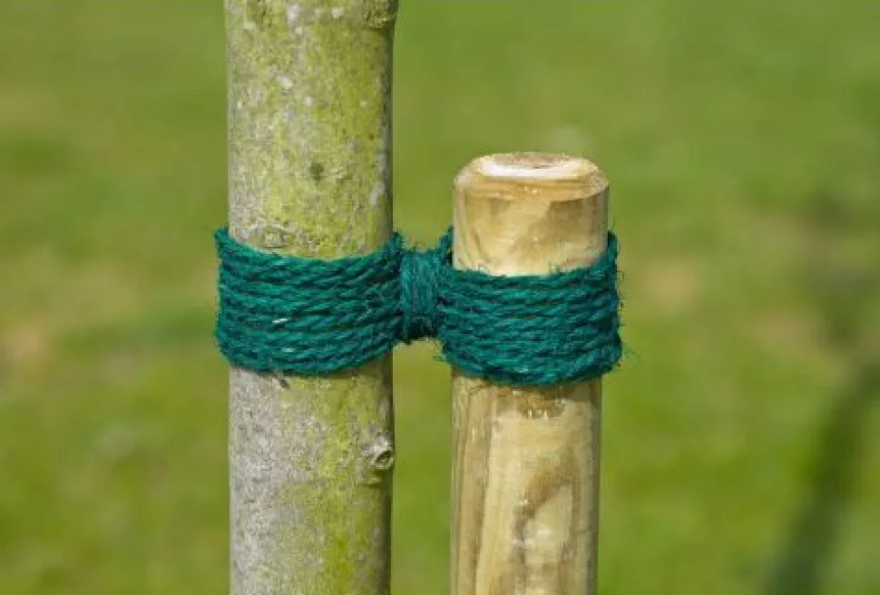 Nature Kokosgarn grün 50 m