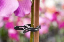 Nature Pflanzenclips D 35 mm 5 St.