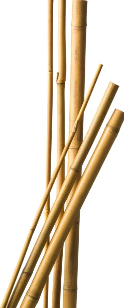 Nature Pflanzstab Bambus H 60 cm D 6-8 mm 10 St.