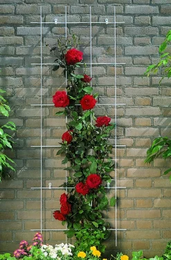 Nature Rankgitter Metall kunststoffbeschichtet 150 x 75 cm grün