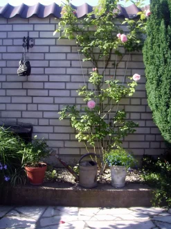 Nature Rankgitter V-Form galvanisiertes Metall H 145 x 5-75 cm