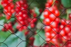 Nature Vogelschutznetz Primo Maschenweite 28x28mm 5 x 2m schwarz