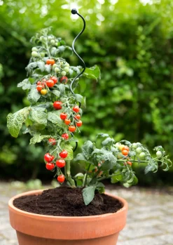 Peacock Stützstab Spiral grün D 5 H 55 cm